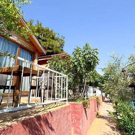 Gaia Bungalow Bed & Breakfast Ayvalik Ngoại thất bức ảnh