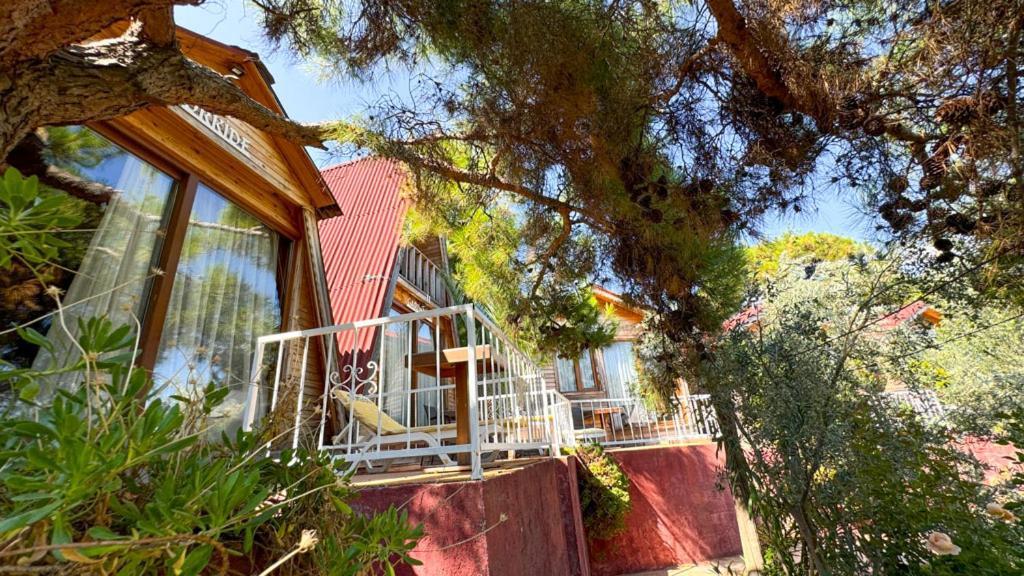 Gaia Bungalow Bed & Breakfast Ayvalik Ngoại thất bức ảnh