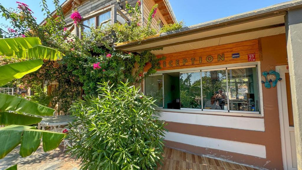 Gaia Bungalow Bed & Breakfast Ayvalik Ngoại thất bức ảnh